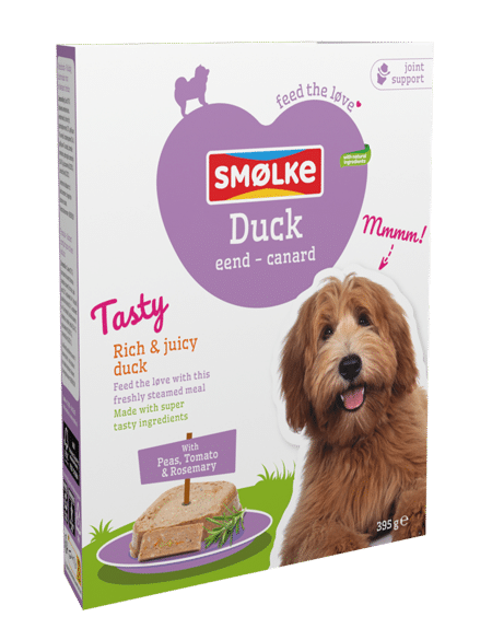 smolke-vgm-duck